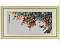 大荔長紅 精品