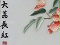 大荔長紅 精品