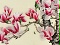 玉蘭 清香益遠